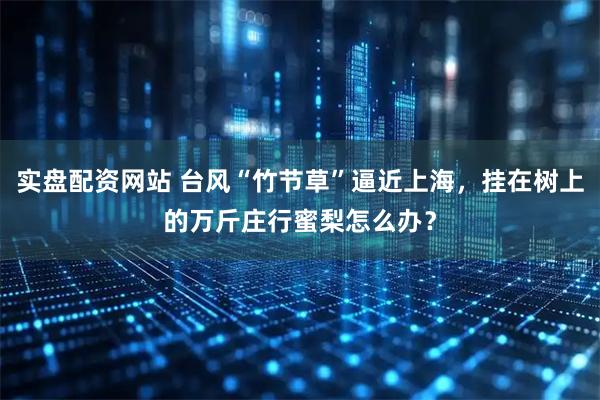 实盘配资网站 台风“竹节草”逼近上海，挂在树上的万斤庄行蜜梨怎么办？